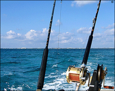 mauritius accommodation guide