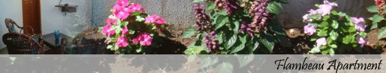 Flambeau Appartement