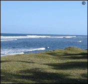 History and tips about Mauritius.