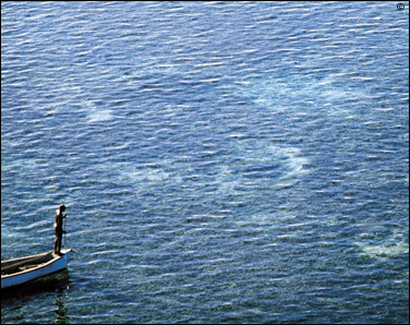 mauritius accommodation guide