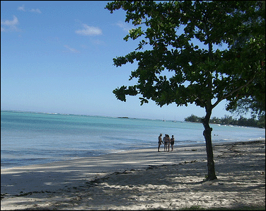mauritius accommodation guide