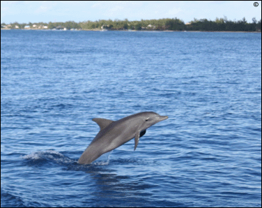 mauritius accommodation guide