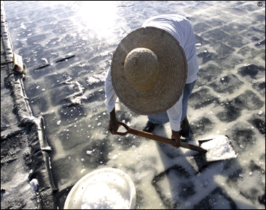 mauritius accommodation guide