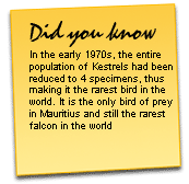 History and tips about Mauritius.