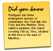 History and tips about Mauritius.