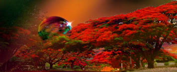 Flamboyant flambeau travel