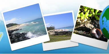 tourism and travel guide mauritius