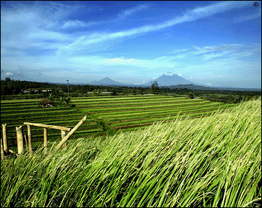 Travel port-louis MRU